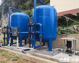 人饮工程-压力式净水设备 50吨/小时